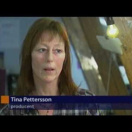 Embedded thumbnail for SVT abc nyheterna